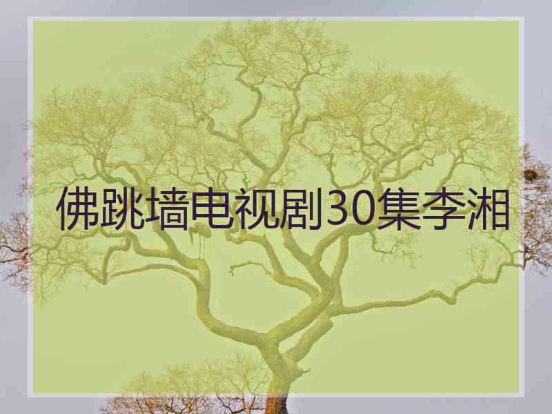 佛跳墙电视剧30集李湘