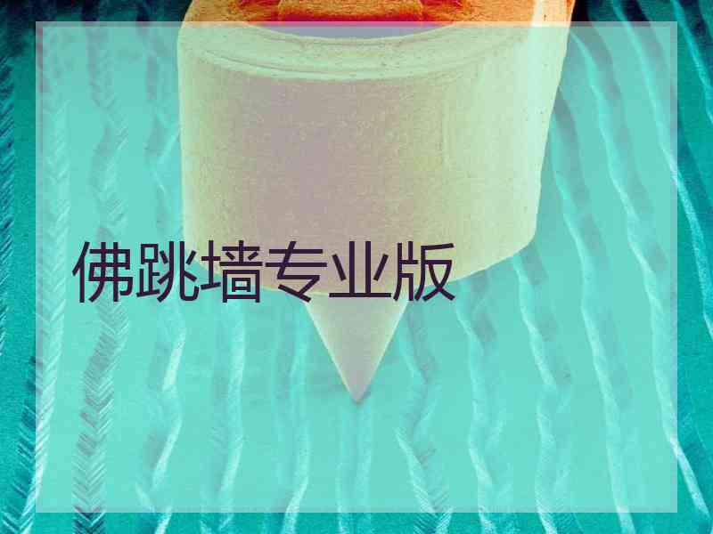 佛跳墙专业版