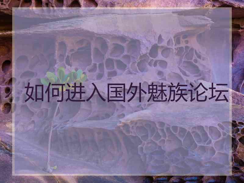 如何进入国外魅族论坛