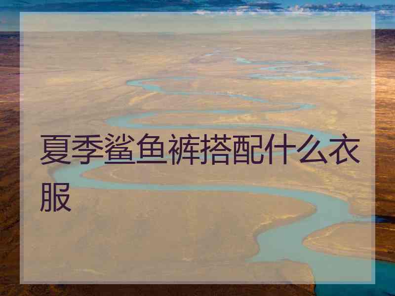 夏季鲨鱼裤搭配什么衣服