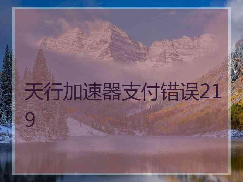 天行加速器支付错误219