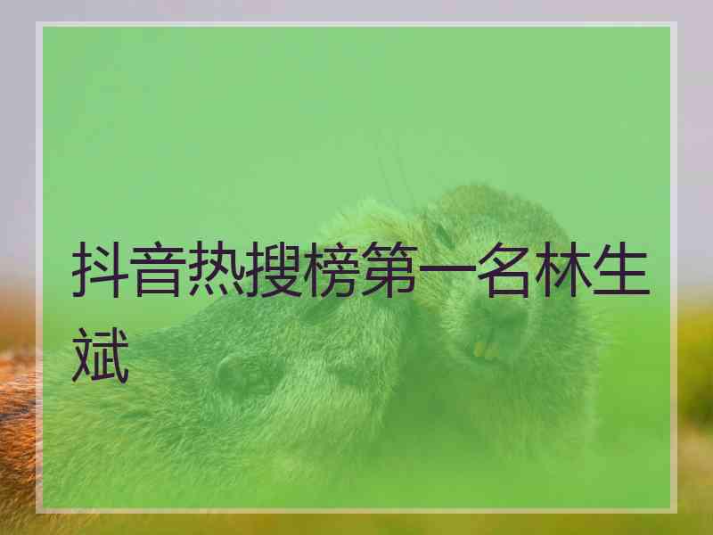 抖音热搜榜第一名林生斌