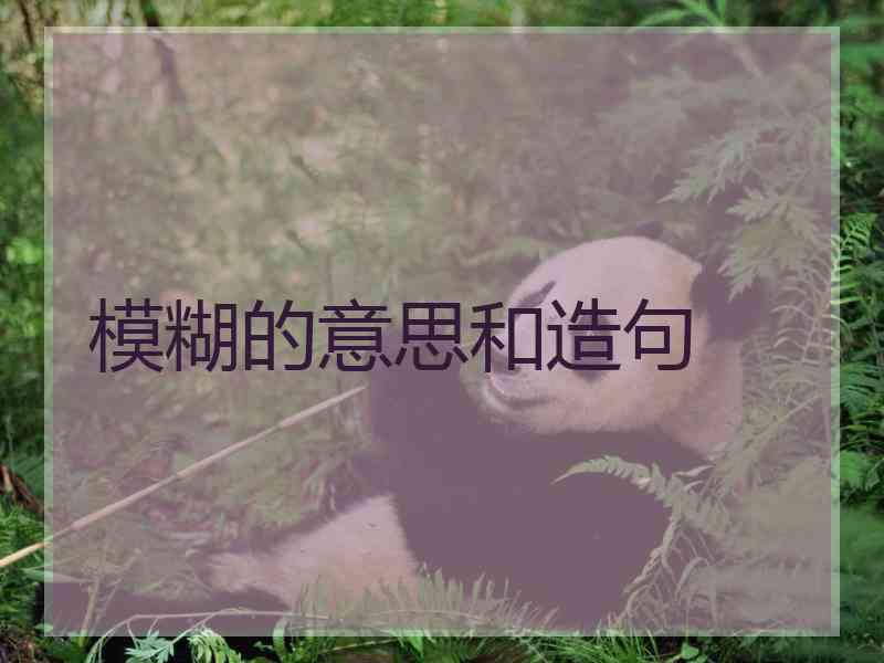 模糊的意思和造句