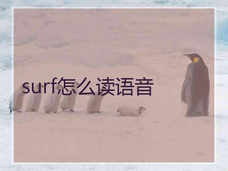 surf怎么读语音