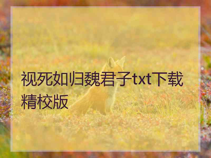 视死如归魏君子txt下载精校版