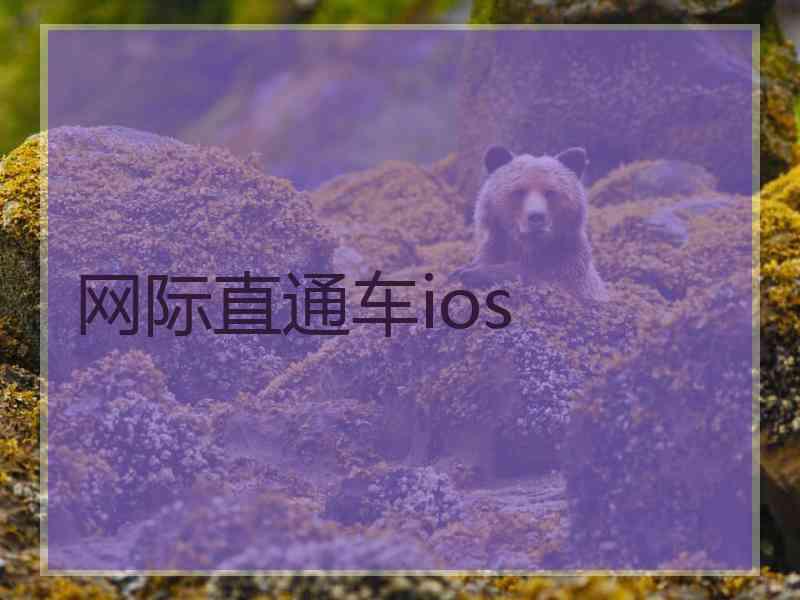网际直通车ios