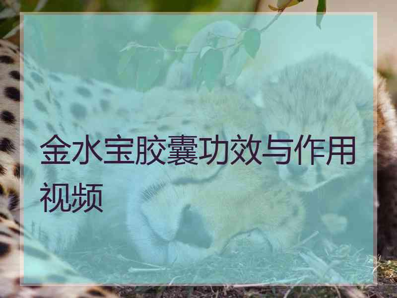 金水宝胶囊功效与作用视频