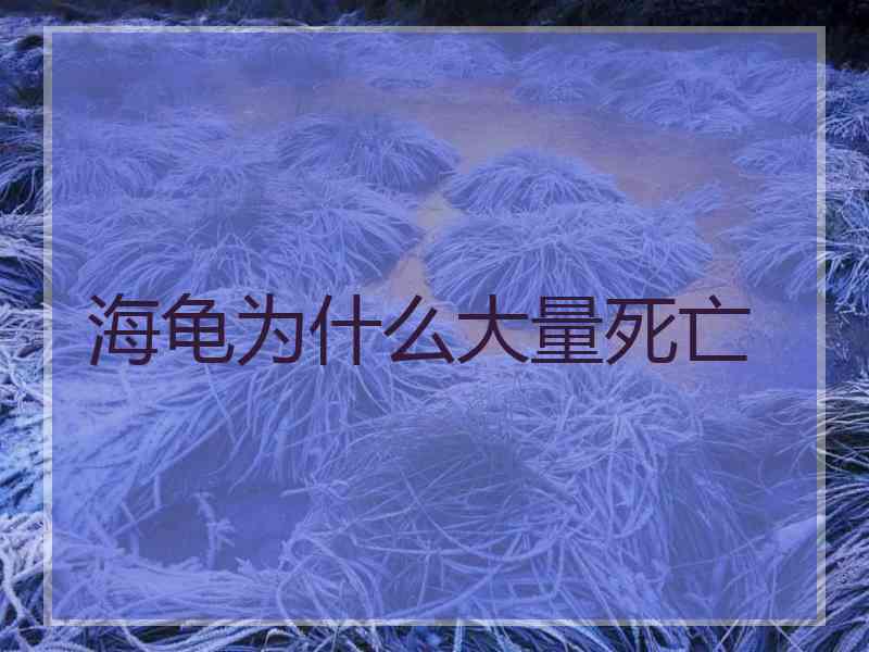 海龟为什么大量死亡