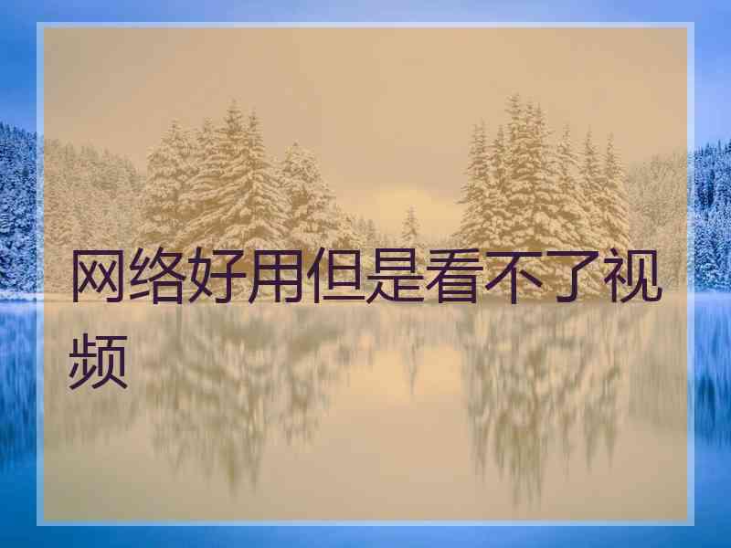 网络好用但是看不了视频