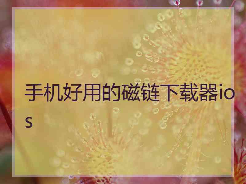 手机好用的磁链下载器ios
