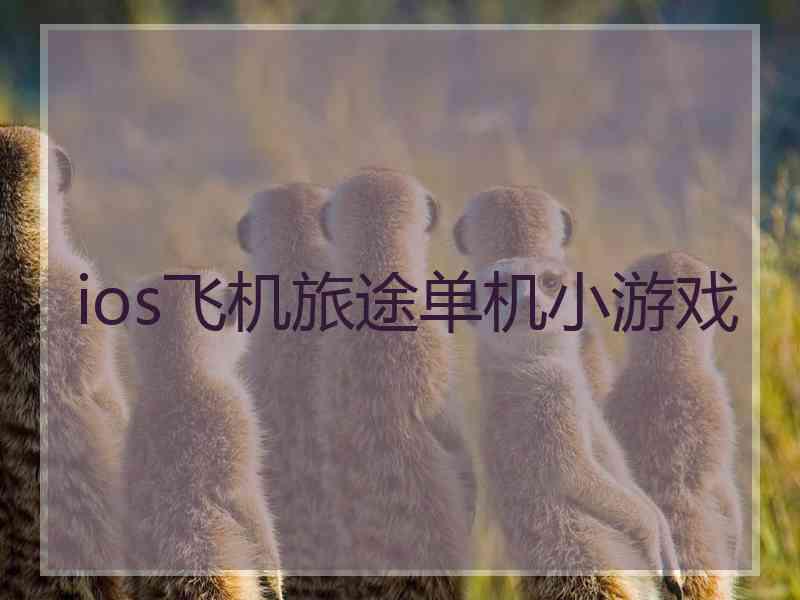 ios飞机旅途单机小游戏