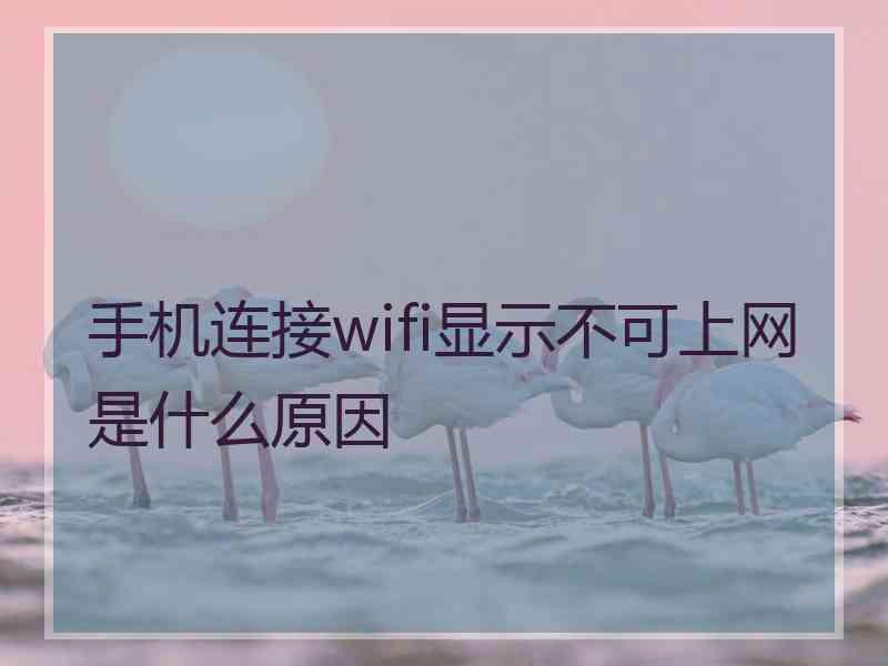 手机连接wifi显示不可上网是什么原因