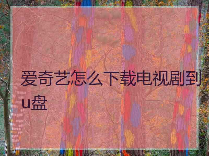 爱奇艺怎么下载电视剧到u盘