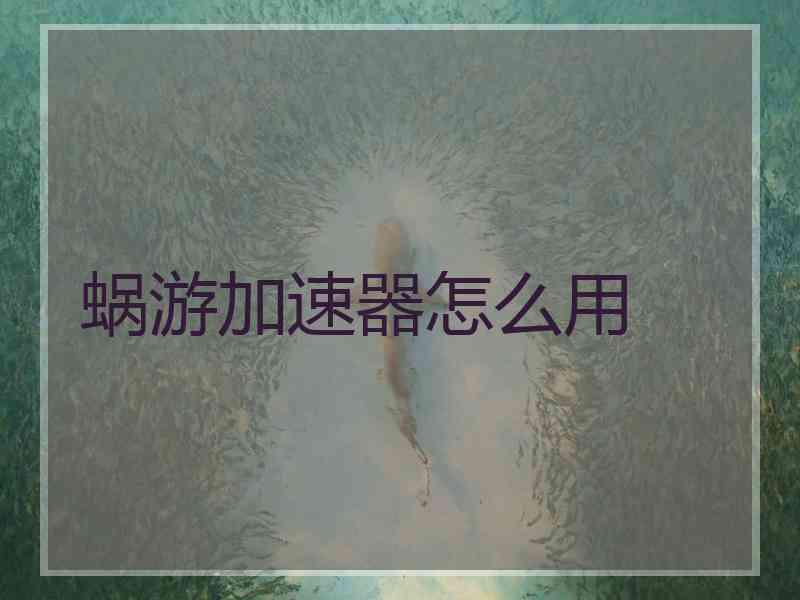蜗游加速器怎么用