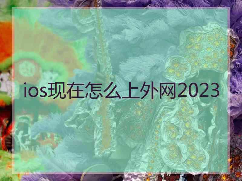 ios现在怎么上外网2023