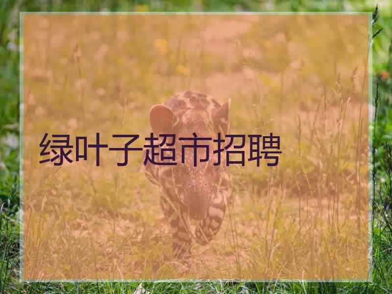 绿叶子超市招聘
