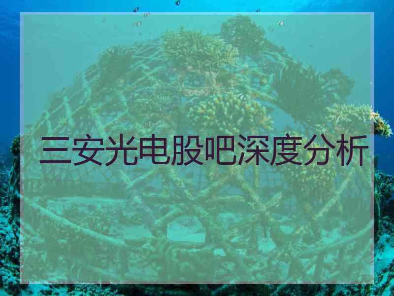 三安光电股吧深度分析