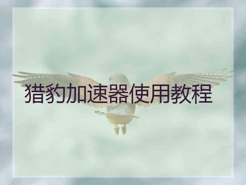 猎豹加速器使用教程