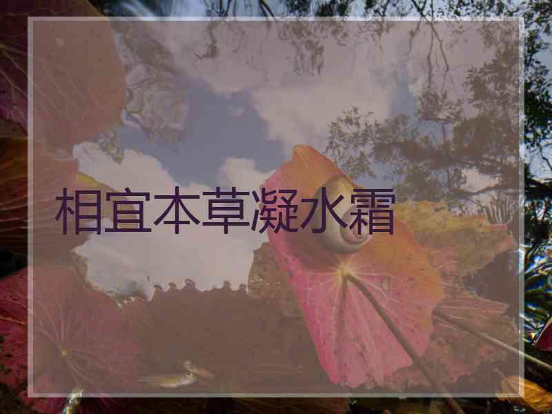 相宜本草凝水霜