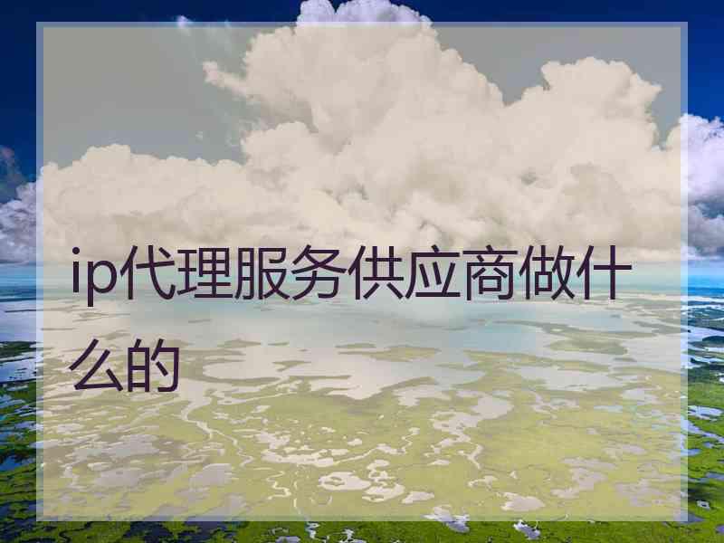 ip代理服务供应商做什么的