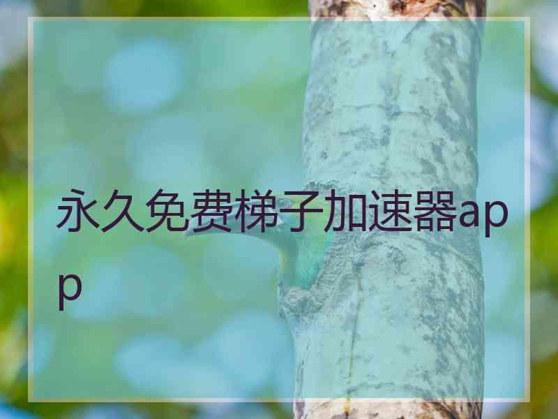 永久免费梯子加速器app