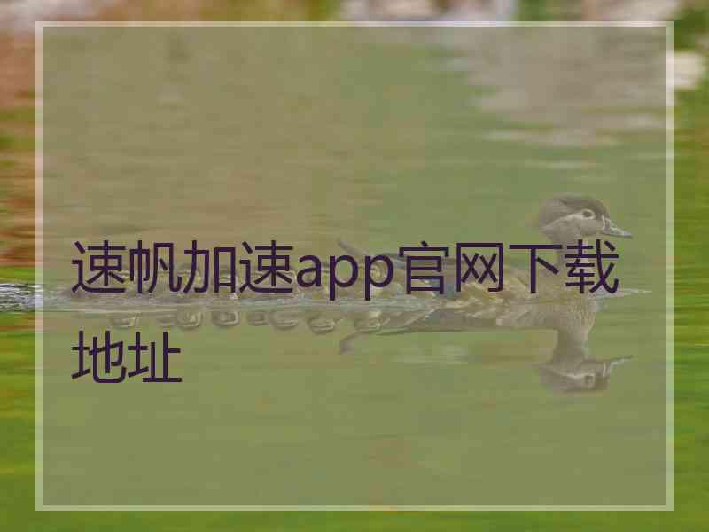 速帆加速app官网下载地址
