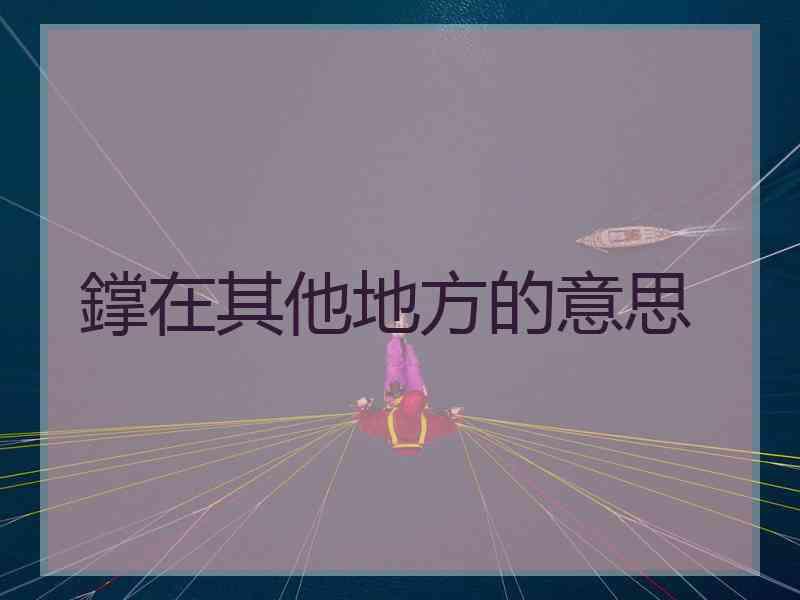 鐣在其他地方的意思