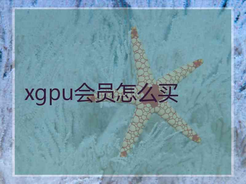 xgpu会员怎么买