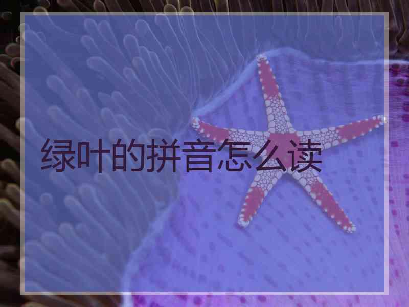 绿叶的拼音怎么读