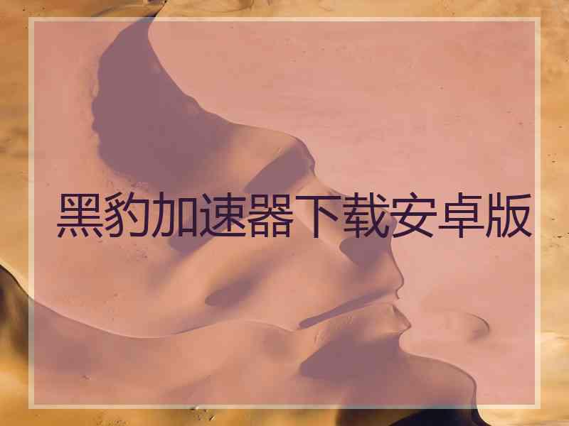 黑豹加速器下载安卓版