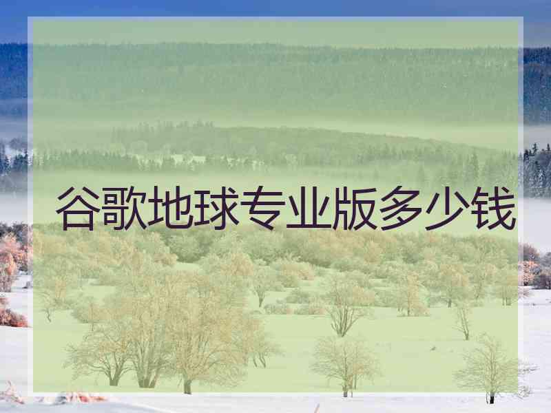 谷歌地球专业版多少钱