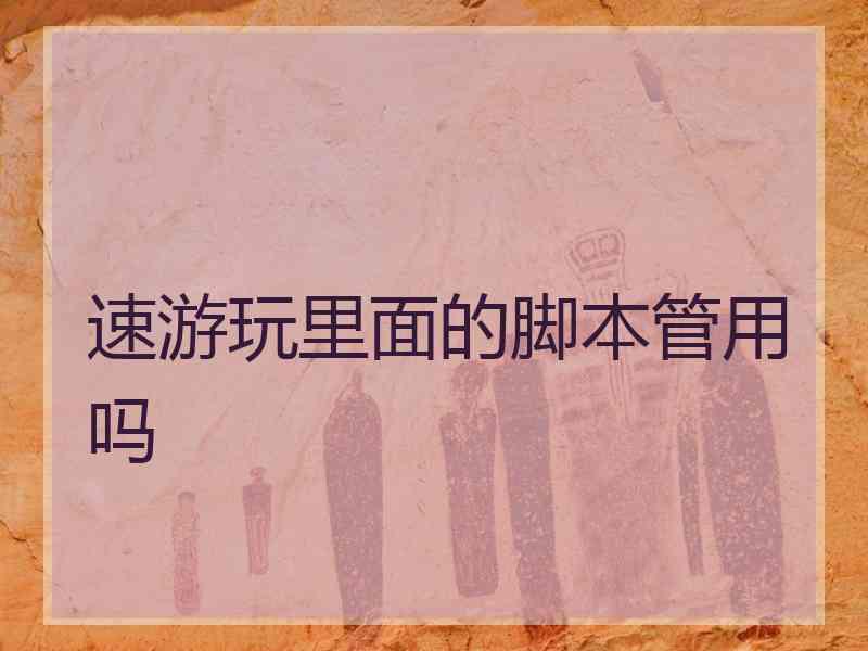 速游玩里面的脚本管用吗