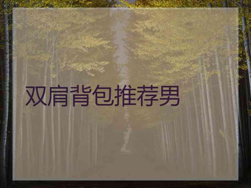 双肩背包推荐男