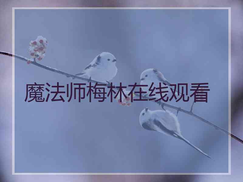 魔法师梅林在线观看