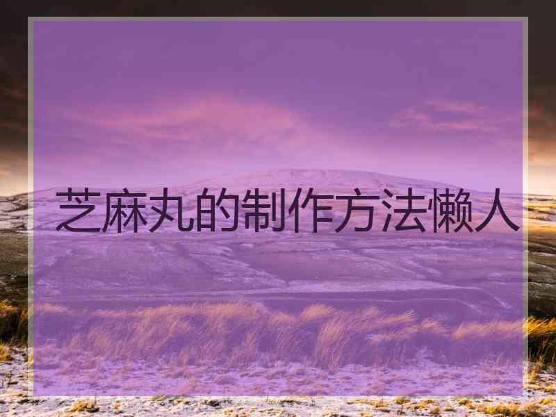 芝麻丸的制作方法懒人