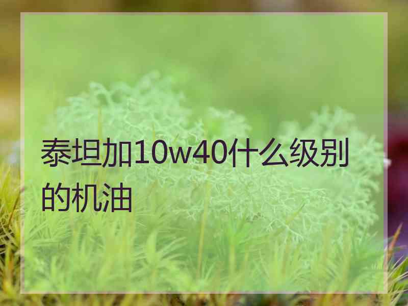 泰坦加10w40什么级别的机油