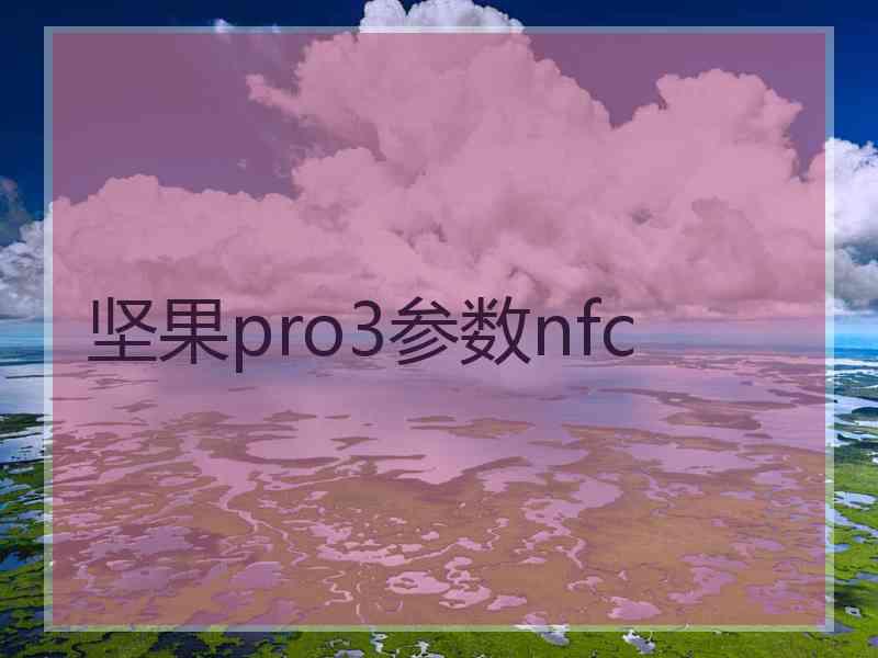 坚果pro3参数nfc