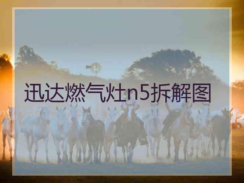 迅达燃气灶n5拆解图