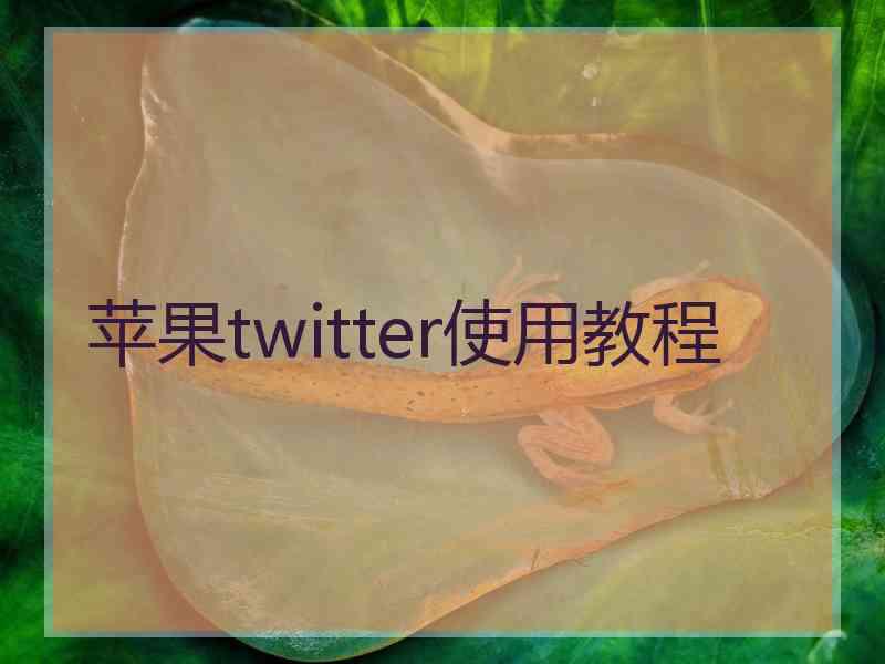 苹果twitter使用教程