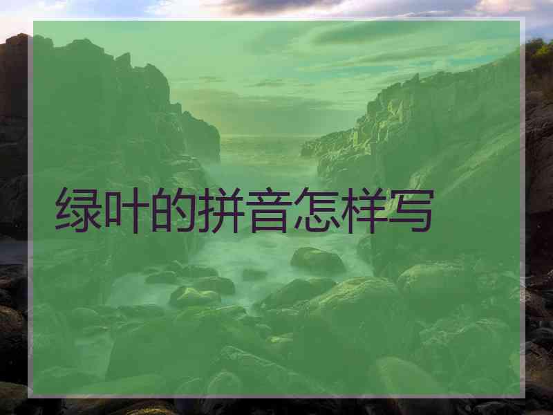 绿叶的拼音怎样写
