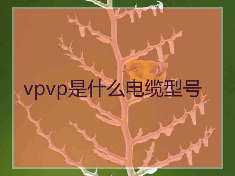 vpvp是什么电缆型号