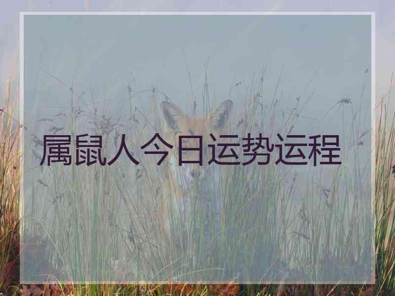 属鼠人今日运势运程