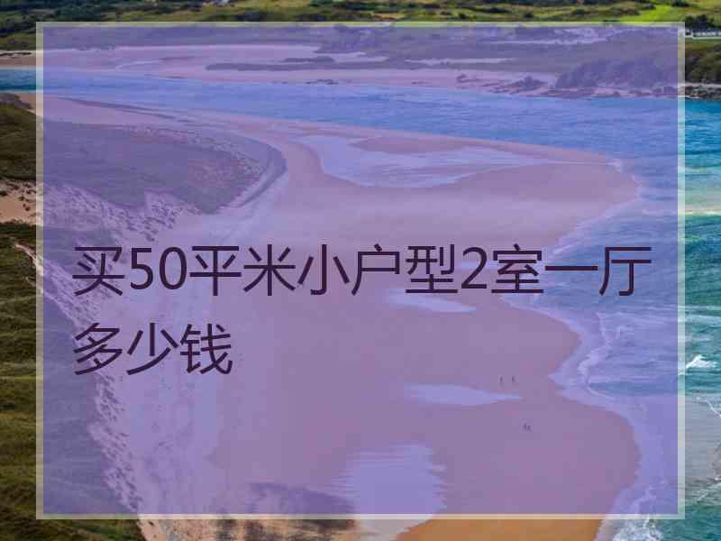 买50平米小户型2室一厅多少钱