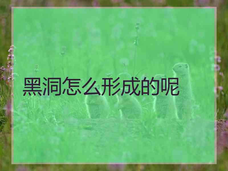 黑洞怎么形成的呢