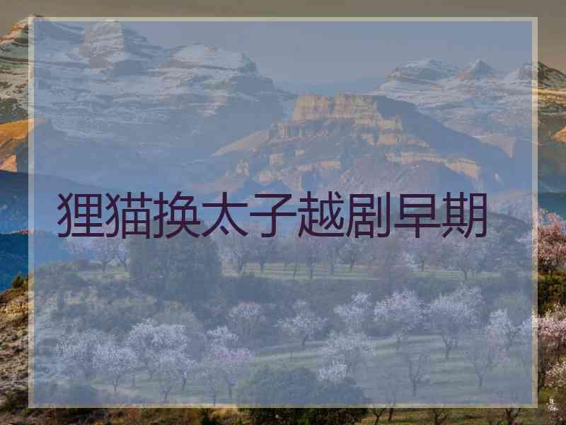 狸猫换太子越剧早期