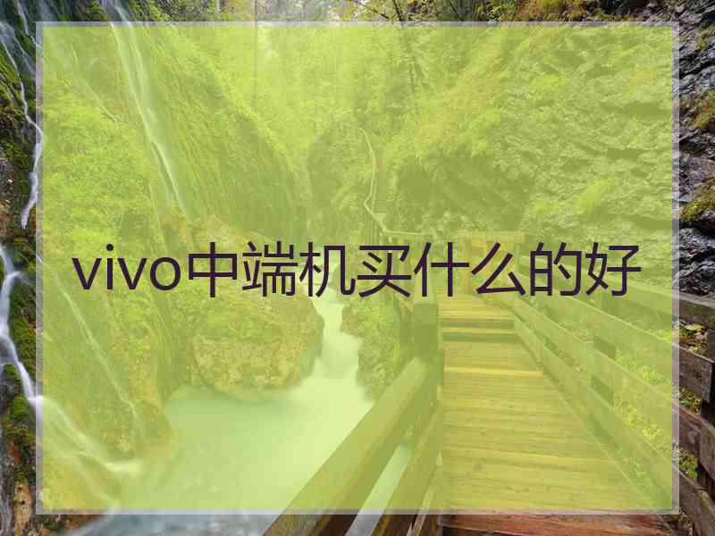 vivo中端机买什么的好