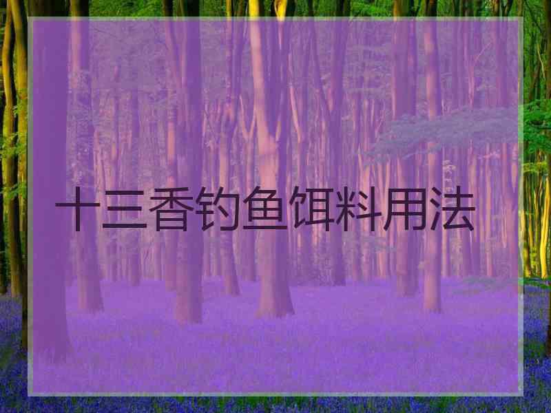 十三香钓鱼饵料用法