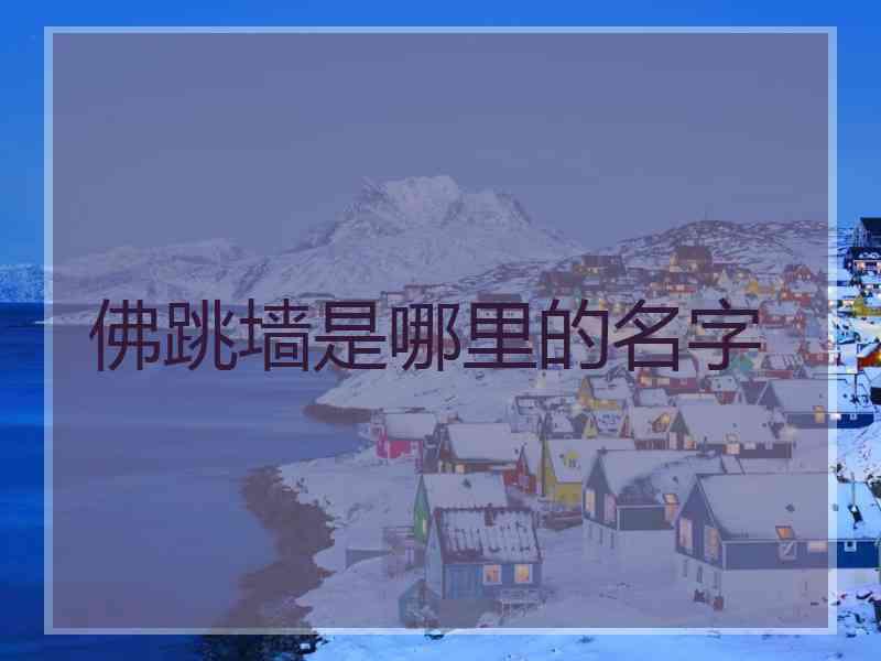 佛跳墙是哪里的名字