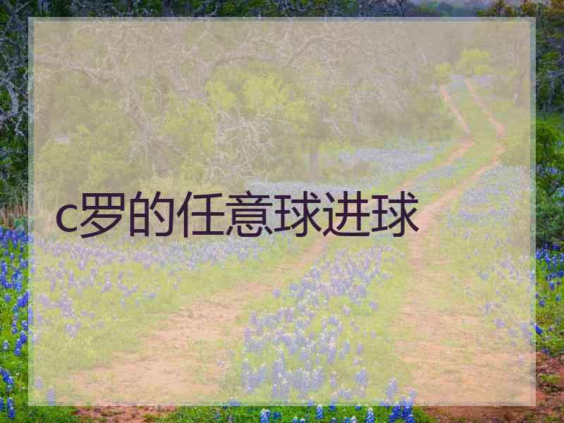 c罗的任意球进球