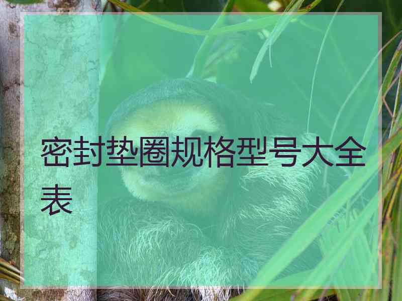 密封垫圈规格型号大全表